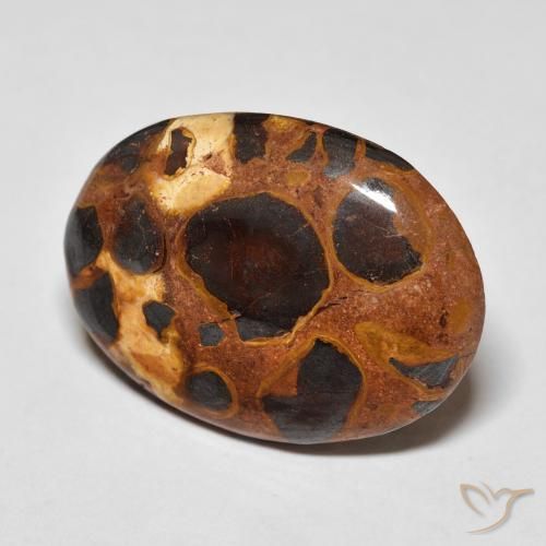 Jaspe Multicolor natural de 14.20 ct, Ovalada, Opaco