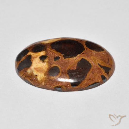 Jaspe Multicolor natural de 14.20 ct, Ovalada, Opaco