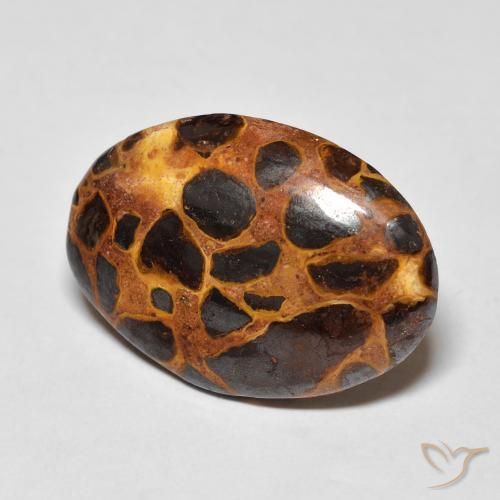 Jaspe Multicolor natural de 13.57 ct, Ovalada, Opaco