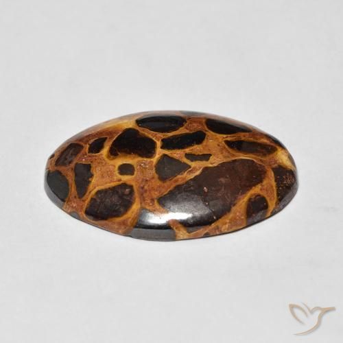 Jaspe Multicolor natural de 13.57 ct, Ovalada, Opaco