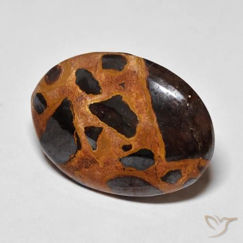 Jaspe Multicolor natural de 18.67 ct, Ovalada, Opaco