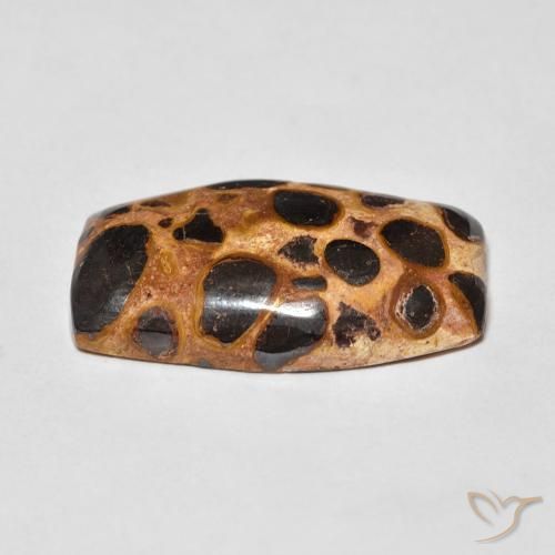 Jaspe Multicolor natural de 15.23 ct, Forma Cojín, Opaco