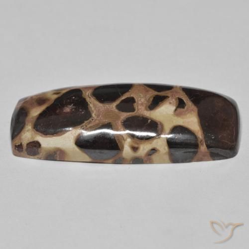 Jaspe Multicolor natural de 19.09 ct, Forma Cojín, Opaco