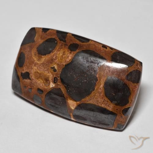 Jaspe Multicolor natural de 32.40 ct, Forma Cojín, Opaco