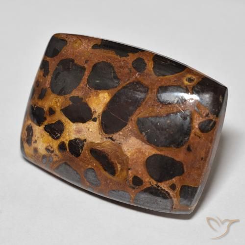 Jaspe Multicolor natural de 42.68 ct, Forma Cojín, Opaco