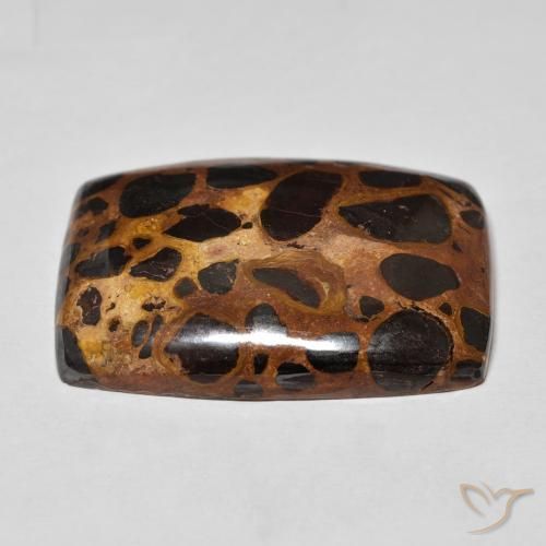 Jaspe Multicolor natural de 42.68 ct, Forma Cojín, Opaco