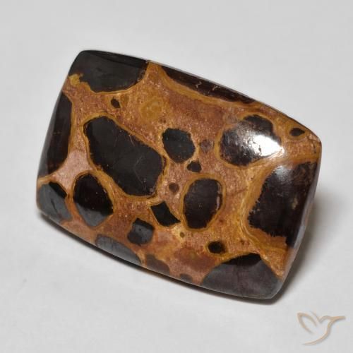 Jaspe Multicolor natural de 18.44 ct, Forma Cojín, Opaco