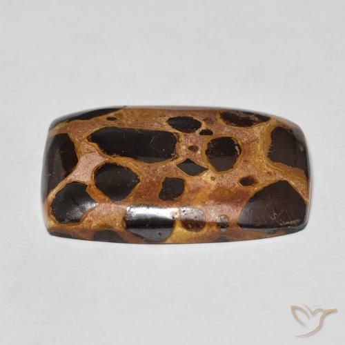 Jaspe Multicolor natural de 18.44 ct, Forma Cojín, Opaco