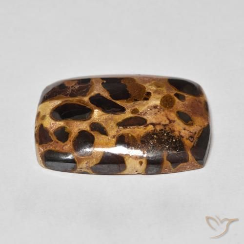 Jaspe Multicolor natural de 17.60 ct, Forma Cojín, Opaco