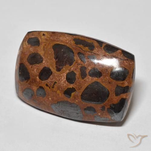 Jaspe Multicolor natural de 22.48 ct, Forma Cojín, Opaco