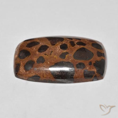 Jaspe Multicolor natural de 22.48 ct, Forma Cojín, Opaco