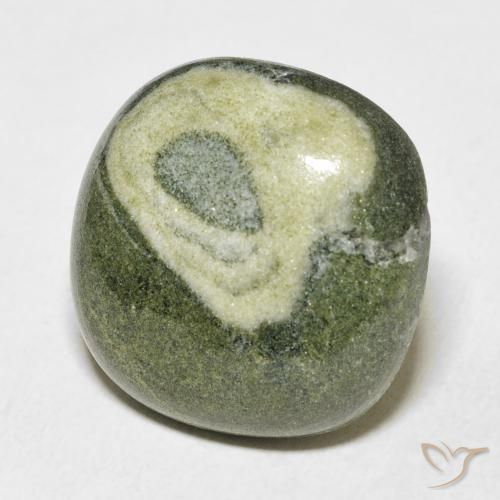 Jaspe Multicolor natural de 25.13 ct, Forma Cojín, Opaco