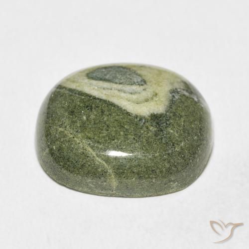 Jaspe Multicolor natural de 25.13 ct, Forma Cojín, Opaco