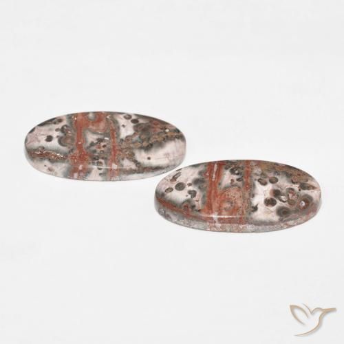 Gemas de Jaspe Multicolor natural de 25.09 ct, Ovalada, Opaco