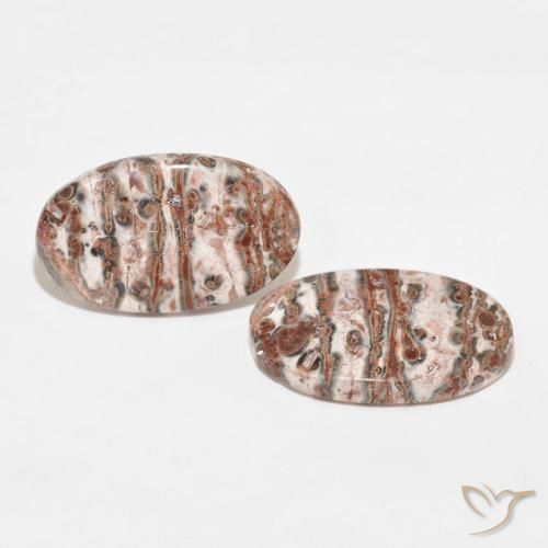 Gemas de Jaspe Multicolor natural de 29.71 ct, Ovalada, Opaco