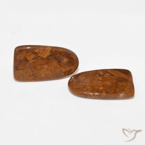 Gemas de Jaspe Multicolor natural de 15.61 ct, Elegante, Opaco