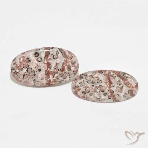 Gemas de Jaspe Multicolor natural de 26.75 ct, Ovalada, Opaco