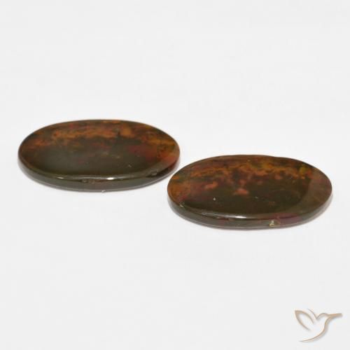 Gemas de Jaspe Multicolor natural de 18.73 ct, Ovalada, Opaco