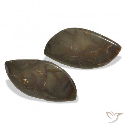 Gemas de Jaspe Multicolor natural de 19.01 ct, Elegante, Opaco
