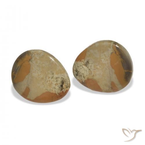 Gemas de Jaspe Multicolor natural de 12.44 ct, Elegante, Opaco