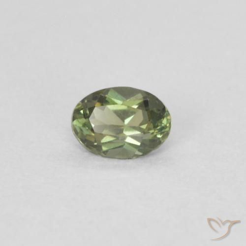 Kornerupina Verde bosque cálido natural de 0.13 ct, Ovalada, VVS-VS