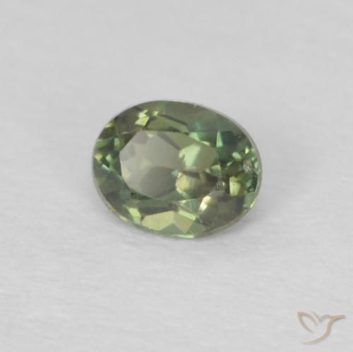 Kornerupina Verde bosque claro natural de 0.17 ct, Ovalada, VS