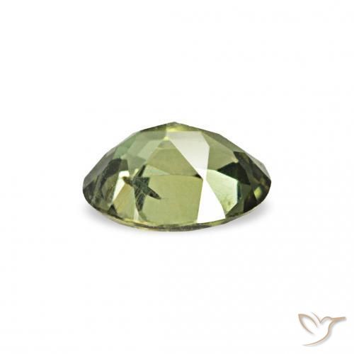 Kornerupina Verde bosque cálido natural de 0.20 ct, Ovalada, VS