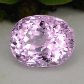 Kunzita rosa natural de 5,49 ct, corte óvalo, VS-SI