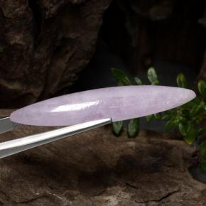 Kunzita Rosa natural de 17.91 ct, Marquesa, Translúcido