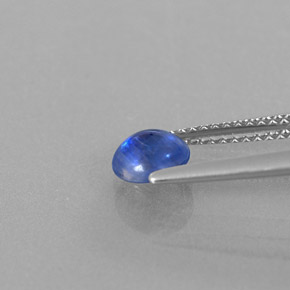 Cianita azul natural de 0,91 ct, transparente, transparente / translúcido