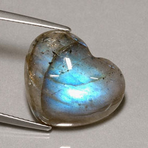 Labradorita multicolor natural de 9,60 ct, transparente, transparente / translúcido