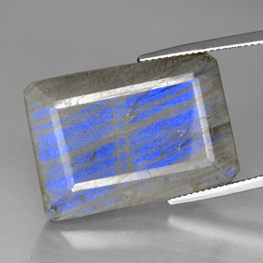 Labradorita Multicolor natural de 35.01 ct, Transparente, Transparente / Translúcido