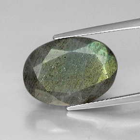 Labradorita multicolor natural de 12,90 ct, corte óvalo, opaco