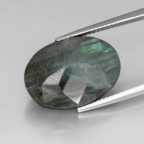 Labradorita multicolor natural de 12,25 ct, corte óvalo, opaco