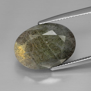 Labradorita multicolor natural de 13,58 ct, corte óvalo, opaco