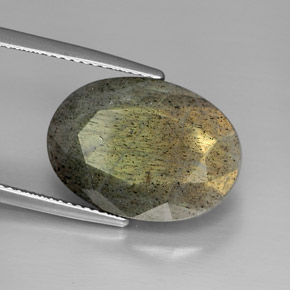 Labradorita multicolor natural de 13,58 ct, corte óvalo, opaco