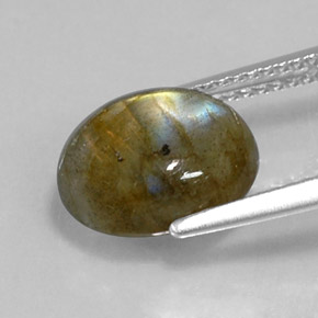 Labradorita multicolor natural de 3,60 ct, corte óvalo, opaco