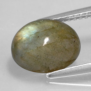 Labradorita multicolor natural de 3,59 ct, corte óvalo, opaco