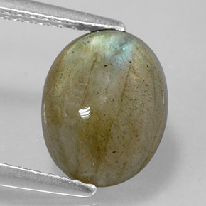 Labradorita multicolor natural de 3,59 ct, corte óvalo, opaco
