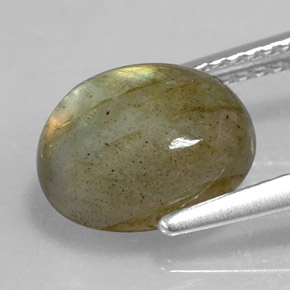 Labradorita multicolor natural de 3,59 ct, corte óvalo, opaco