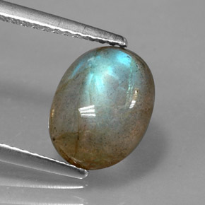 Labradorita Multicolor natural de 2.76 ct, Transparente, Transparente / Translúcido