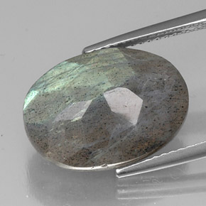 Labradorita multicolor natural de 10,02 ct, corte óvalo, translúcido