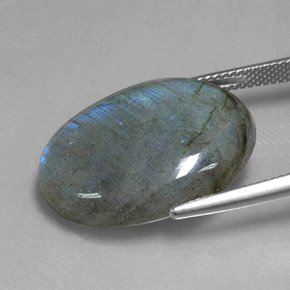 Labradorita multicolor natural de 20,80 ct, corte óvalo, translúcido