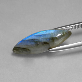 Labradorita multicolor natural de 8,91 ct, marquesa, translúcido
