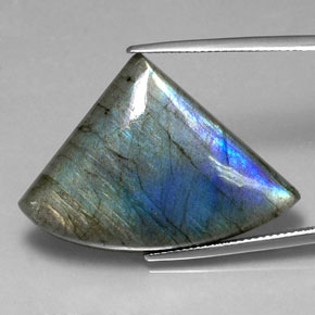 Labradorita multicolor natural de 30,50 ct, forma elegante, translúcido