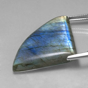 Labradorita multicolor natural de 30,50 ct, forma elegante, translúcido