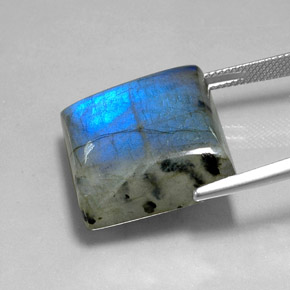 Labradorita Multicolor natural de 36.07 ct, Cuadrado, Translúcido