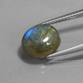 Labradorita Multicolor natural de 3.93 ct, Corte Óvalo, Translúcido