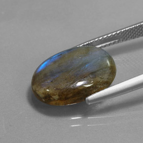 Labradorita multicolor natural de 6,83 ct, corte óvalo, translúcido