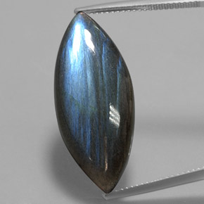 Labradorita multicolor natural de 19,29 ct, marquesa, translúcido